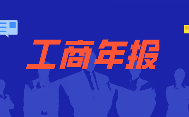 工商年报